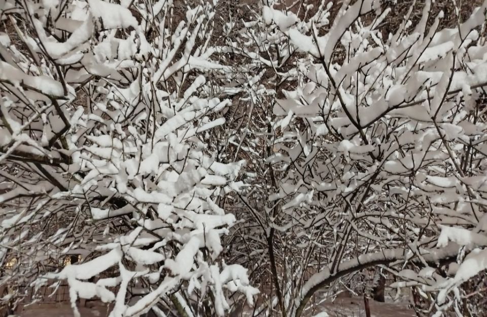 ������ �� ���� � ������