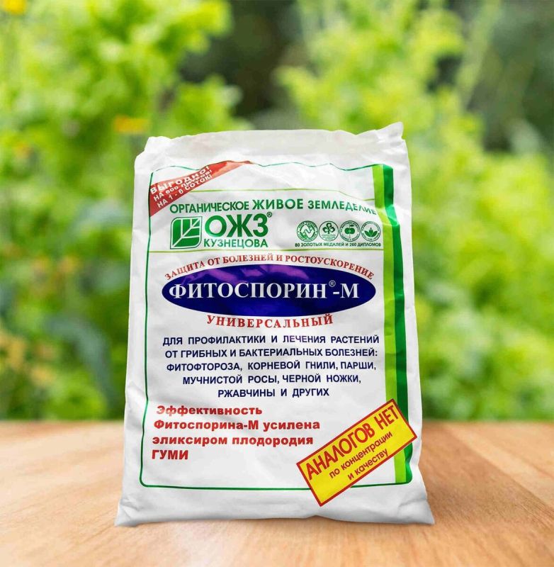 ������ ������������ �� ������ ���������� ���� �����������?