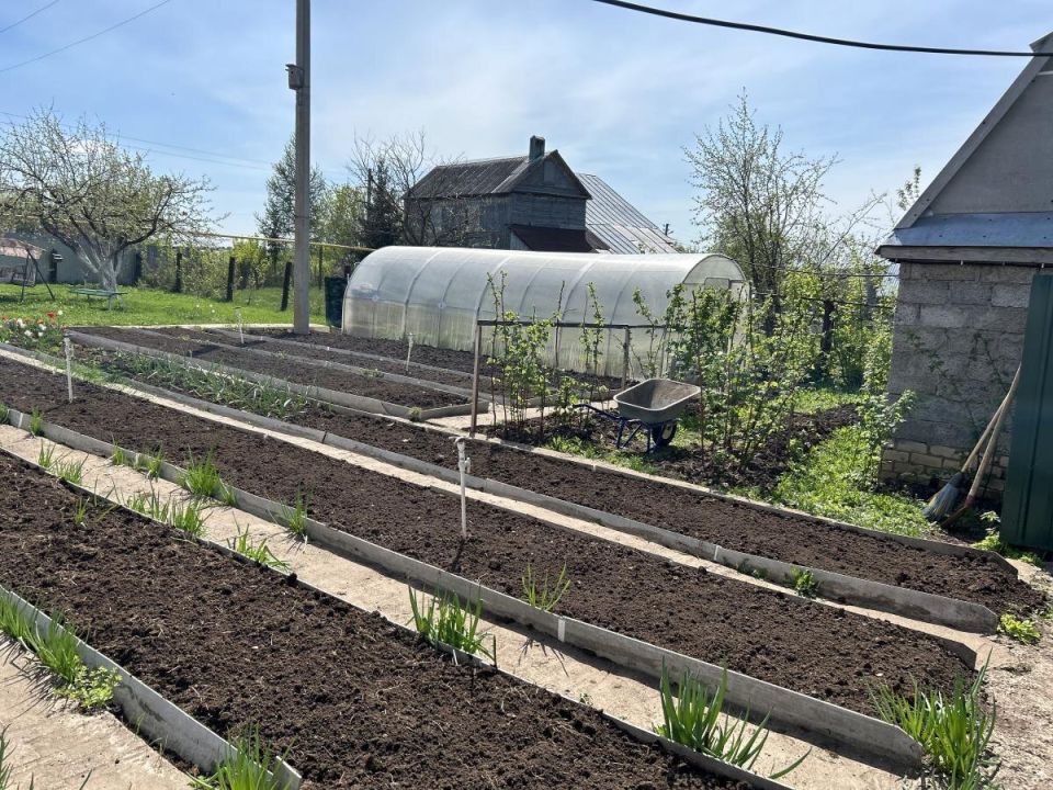 ��� ��������� �������� ������� ���: ������� ������