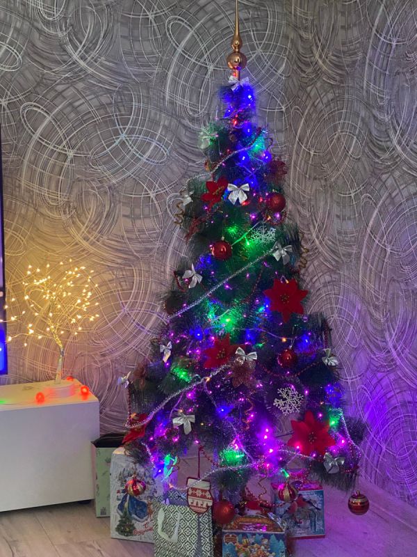 ����� ���: ����������� � ������� � ������ �������