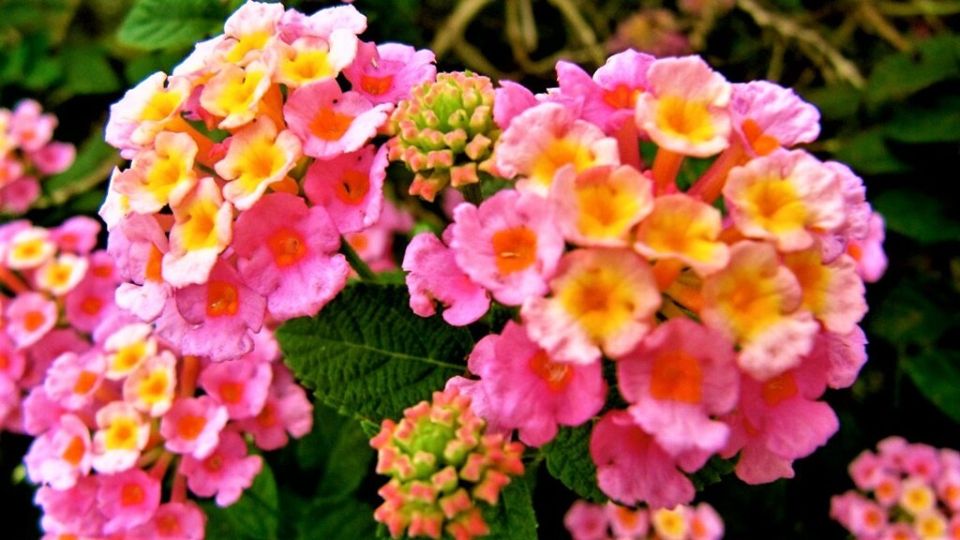 ����� ����� � ��������: ��������� ���� � ��������