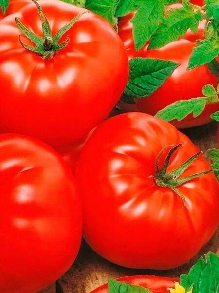 ����� ������� ��������� �������������: ��������� ����� ��� �������� � ���������