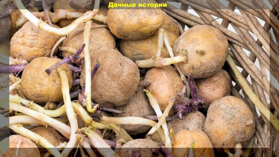 ��������� � ����������� ����� �� ������� ���������: ��������� ���������� ������������ ������������