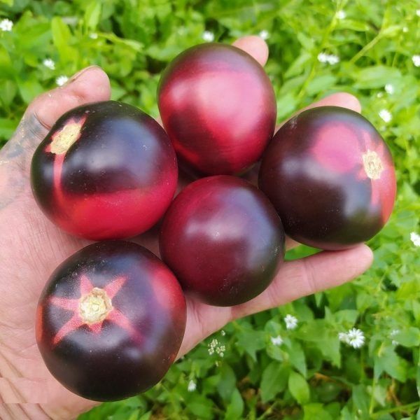 ����� ������� ����: ����������� ����� � ����, ������� ��������