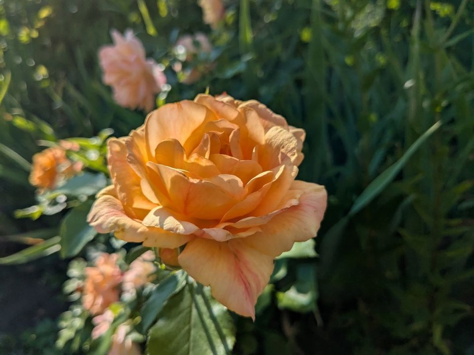 �������������� ���� � ���������-����������� �����: ��������� ���������� �� �������� ���������