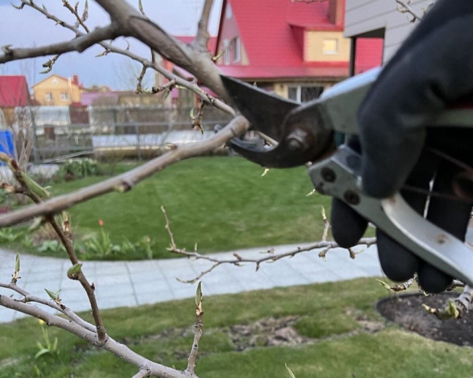 ������ ����� ����������� ������ ����� ��������� ������������ ����� ��������