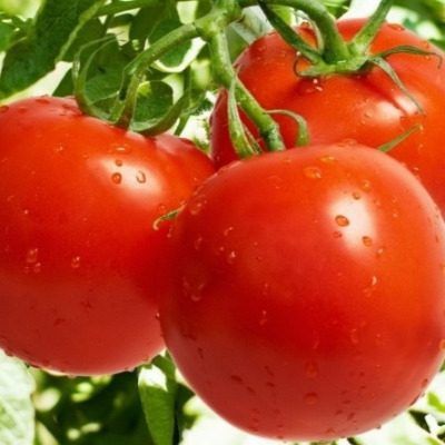 ����� ���: ������ ���������� � �������� ����� ��� ��������� ������