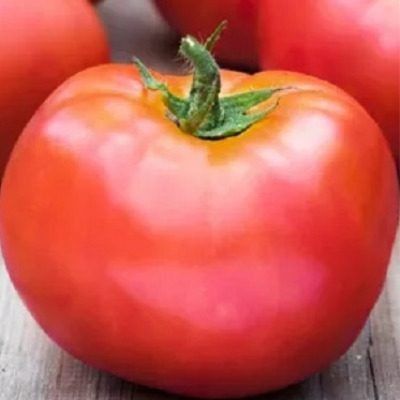 ������� ������: ���������� ������ ����� ��� ������� � �����������