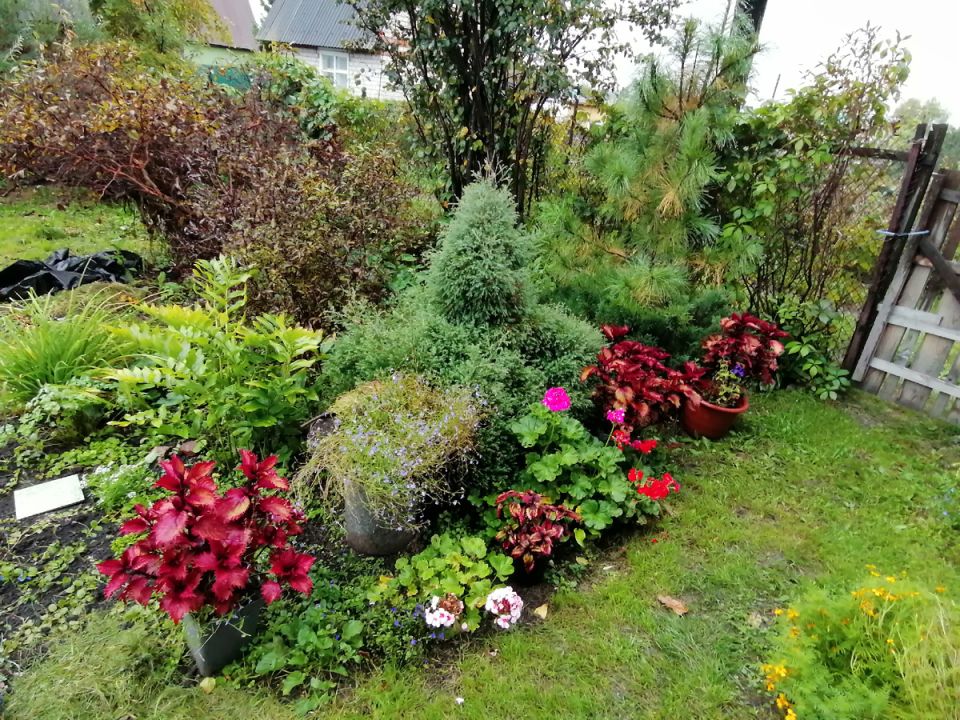 Планирование клумбы на даче: как выбрать цветовую гамму и оформить цветник