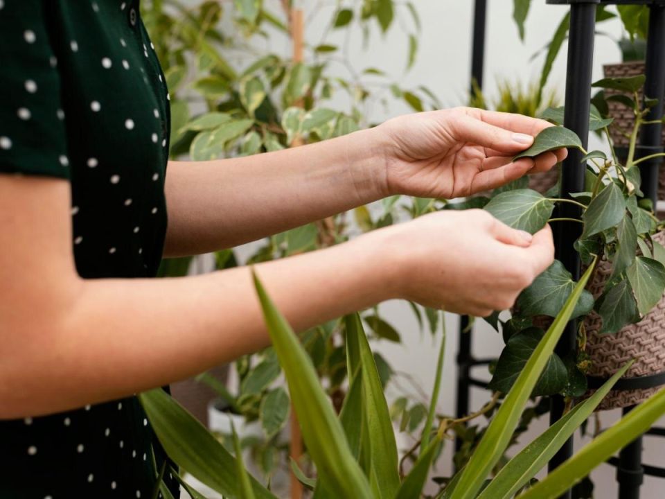 ���������� ������� ��� ����� ����� ������� ������� ����