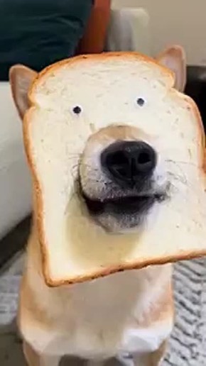  !.   ?     !     8          