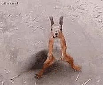  !.  ,     9   ,      