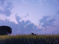,   :   25    