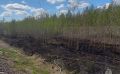 В Ногликском районе огонь охватил 600 "квадратов" сухой травы