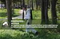 Внимание!. В городском парке запланирована повторная обработка территории от клещей на 26 мая