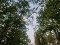  .        31    rp5.ru: -+9..+15 C,  , ,  ;
