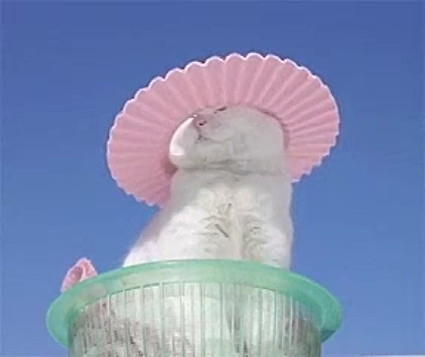  !.          