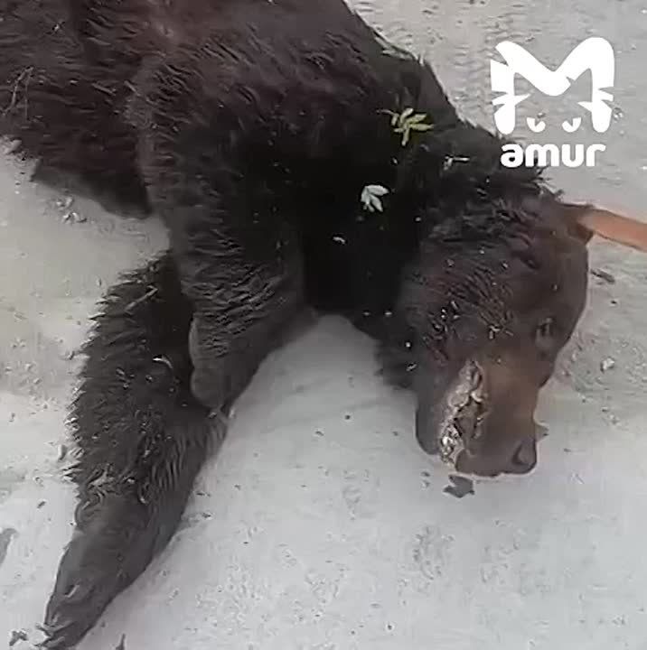     -