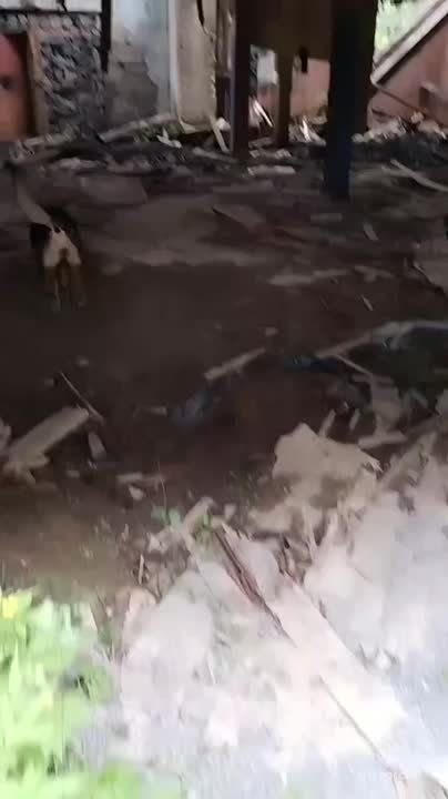 #.          -        