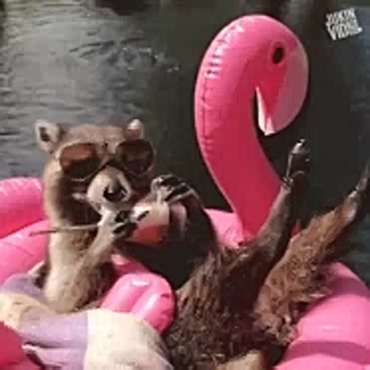  !. ,          ,     