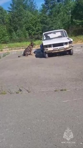 #.              :