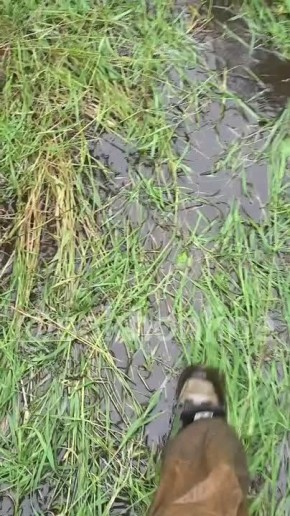       ,  