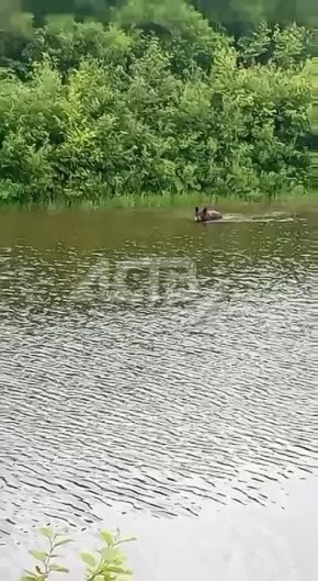 #,           