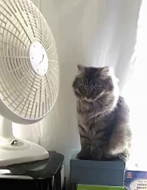  !.       ?    !   9     