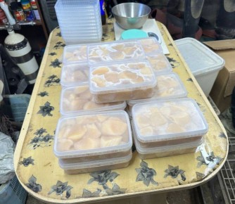 Островные полицейские обнаружили браконьеров, которые занимались незаконным выловом гребешка в Корсаковском районе