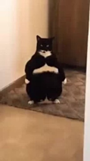  !.     ?             , ?       ...