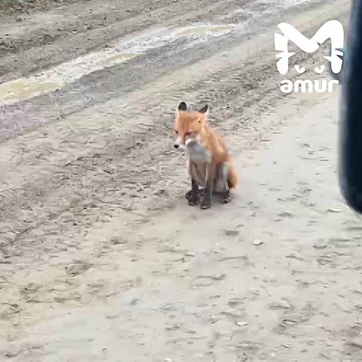 -   
