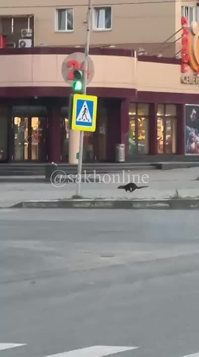 -   -