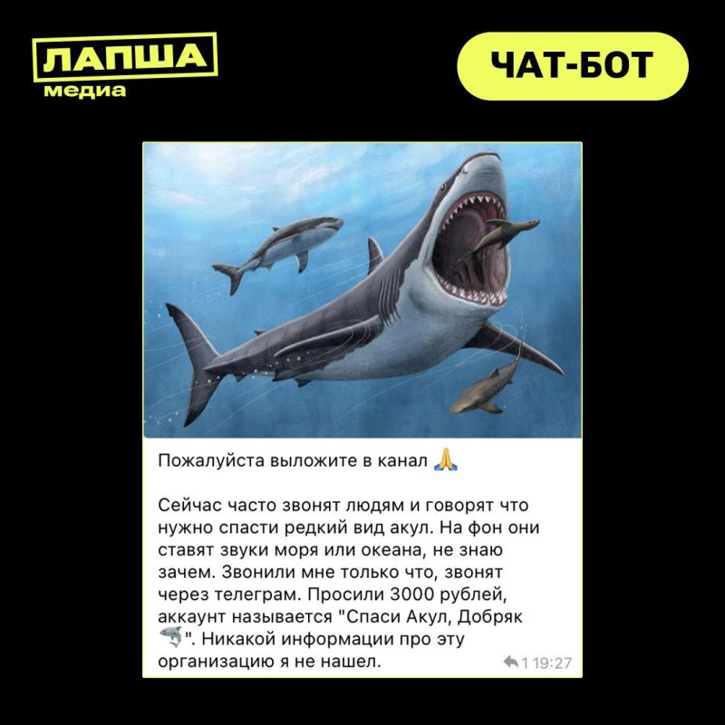       -     ,     :