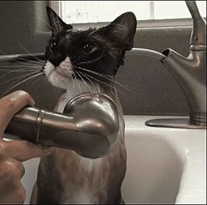     12  -