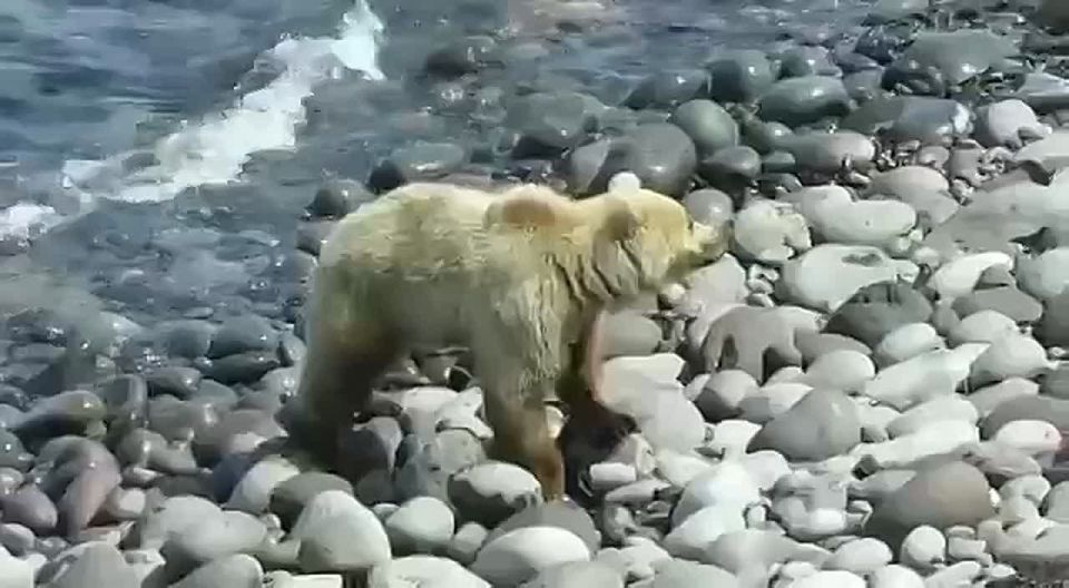 -   