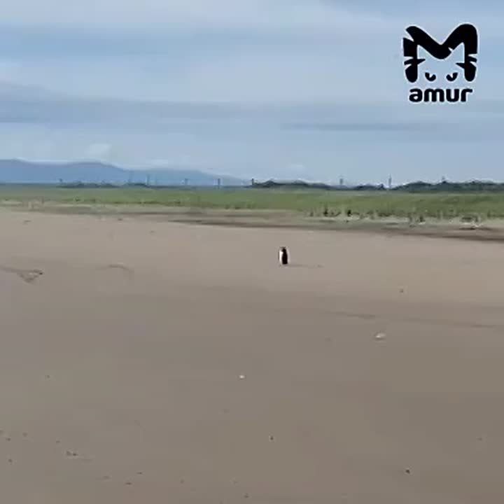 &quot;, !     ?&quot;