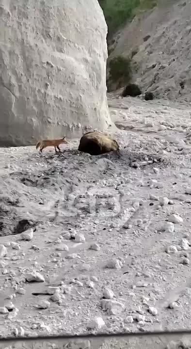  ,  ,      ,    