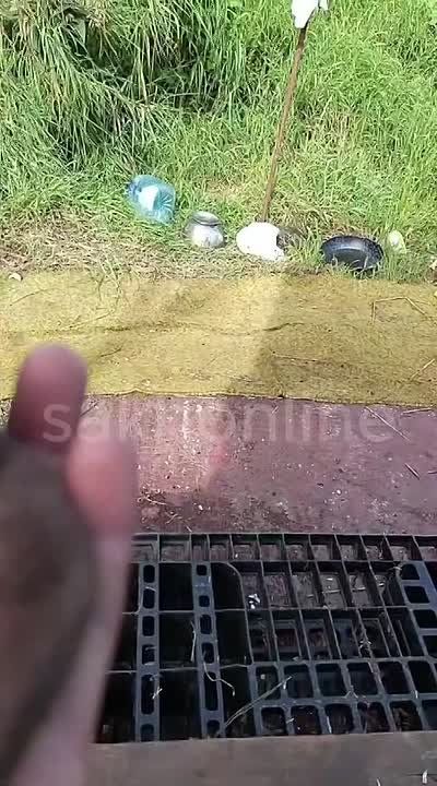    ,   