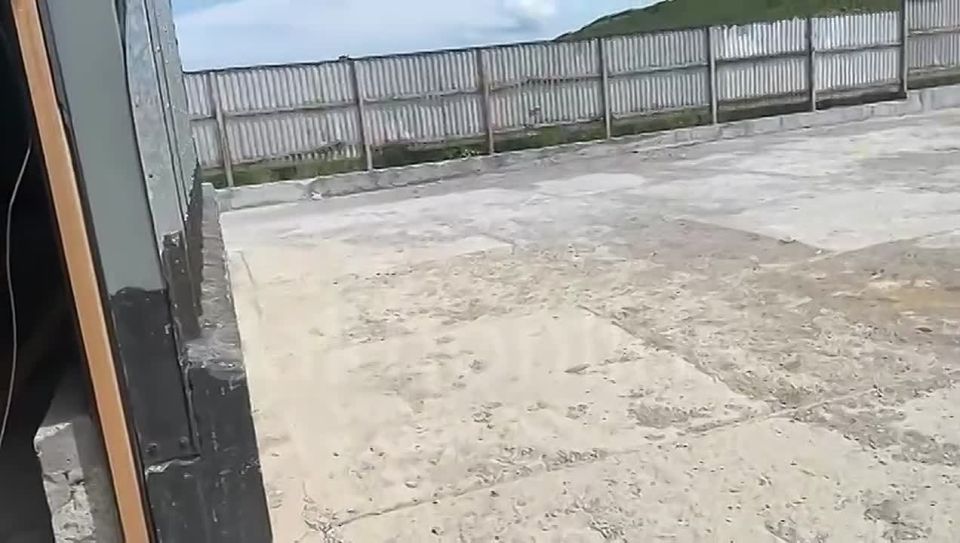   :          