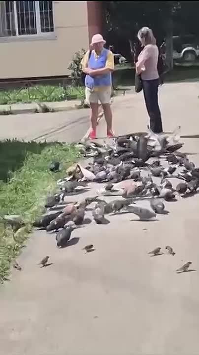      :    -      