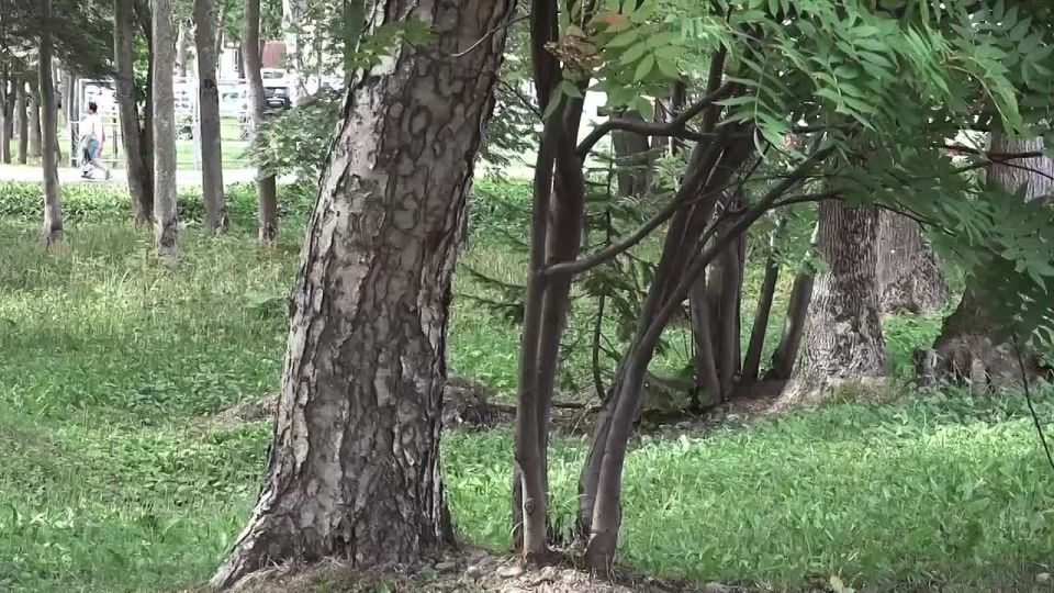 &quot;     &quot;