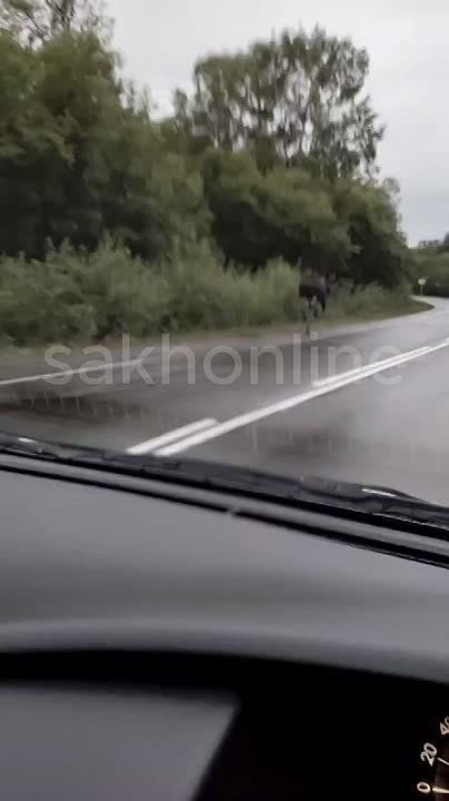       ,   :     