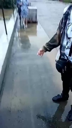     -    