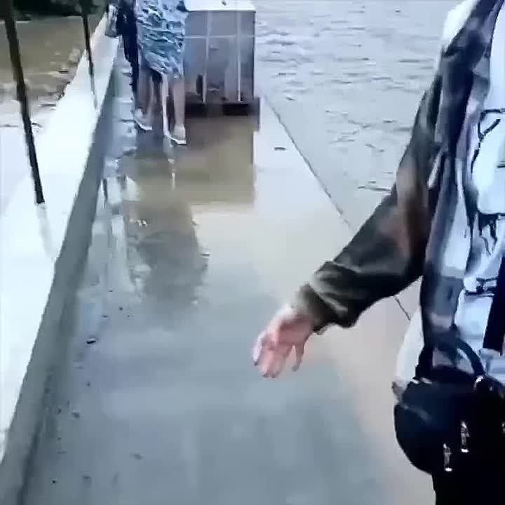   -        :         -      ,     