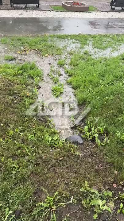 &quot;  &quot;:  -      