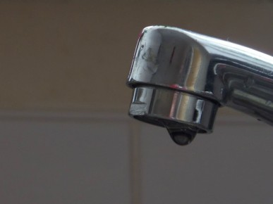     2         -