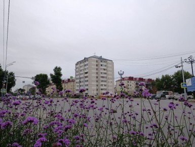   .        2       rp5.ru:  -  +1517,  +2123C,  - 7-12 /, ...