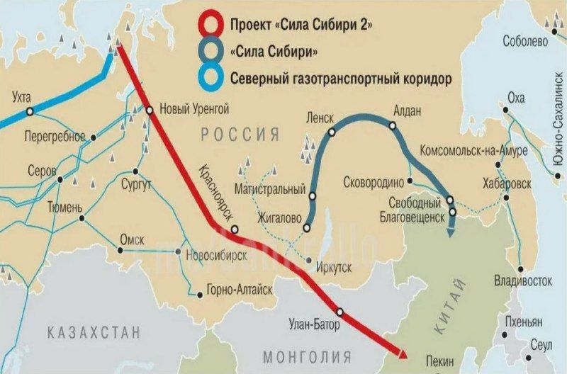 «Сила Сибири-2» Шредингера: Рейтер против Миллера