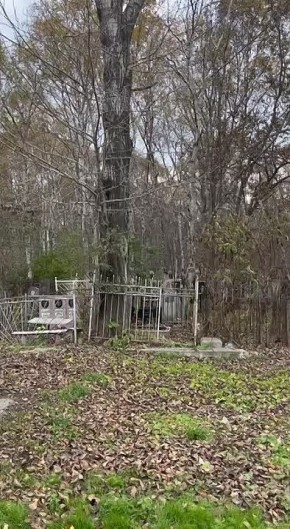 Волонтеры благоустроили воинские захоронения на Сахалине