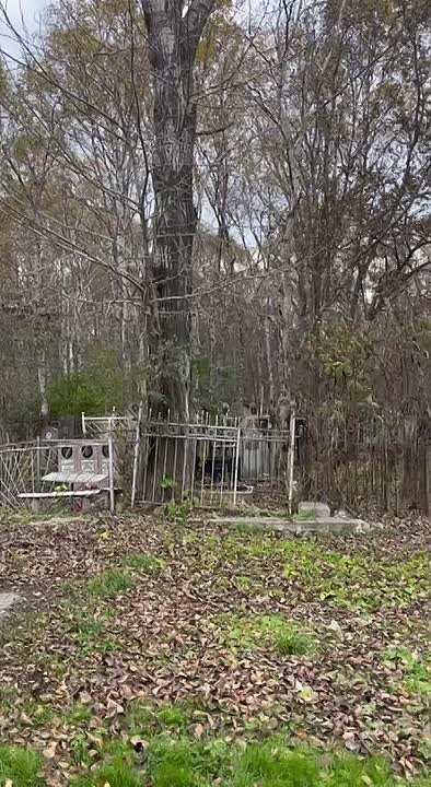 Волонтеры благоустроили воинские захоронения на Сахалине